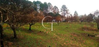 Oportunidade de Investimento: área Próximo ao Outlet Catarina e a 29 km do Futuro Cacau Park