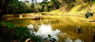 Oportunidade de Investimento: área Próximo ao Outlet Catarina e a 29 km do Futuro Cacau Park