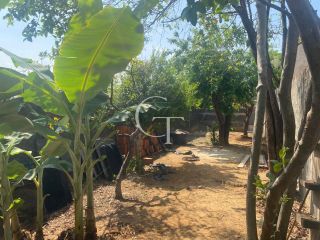 Lote em avenida comercial para Vender no Jd. Alberto Gomes