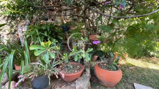 Casa térrea 3 dormitórios com quintal Jardim Paraíso em Itu