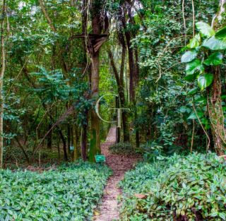 Uma Casa Que Traduz o Silêncio do Luxo no Coração do Vila Real