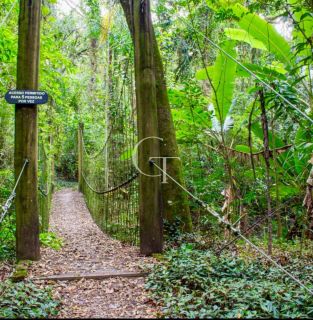 Uma Casa Que Traduz o Silêncio do Luxo no Coração do Vila Real