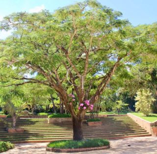 Uma Casa Que Traduz o Silêncio do Luxo no Coração do Vila Real