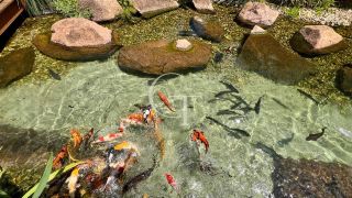 Belíssimo apartamento no condomínio Natura Park Itu