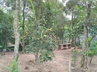 Chácara de 1.000 m² com casa, pomar formado no Bairro Eldorado II em Itu