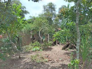 Chácara de 1.000 m² com casa, pomar formado no Bairro Eldorado II em Itu