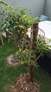 Casa Térrea Mobiliada à Venda no Condomínio Una em Itu