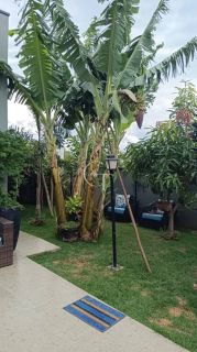 Casa Térrea Mobiliada à Venda no Condomínio Una em Itu