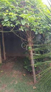 Casa Térrea Mobiliada à Venda no Condomínio Una em Itu