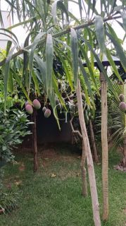 Casa Térrea Mobiliada à Venda no Condomínio Una em Itu