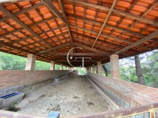 Sítio completo á Venda em Porto Feliz