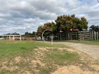 Sítio completo á Venda em Porto Feliz