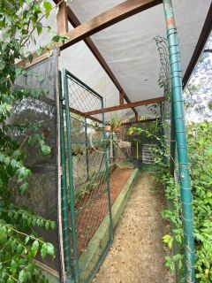 Sítio completo á Venda em Porto Feliz