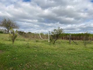 Sítio completo á Venda em Porto Feliz