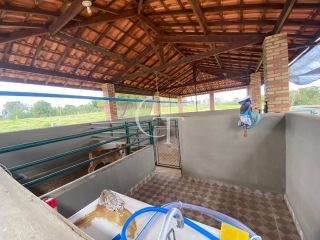 Sítio completo á Venda em Porto Feliz