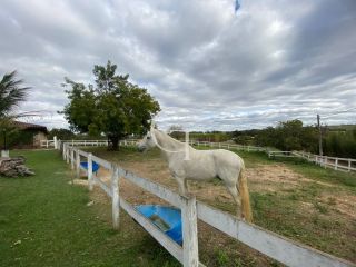 Sítio completo á Venda em Porto Feliz