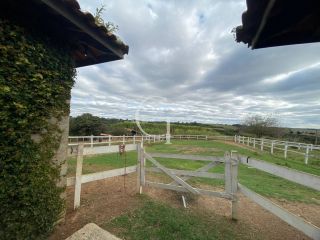 Sítio completo á Venda em Porto Feliz