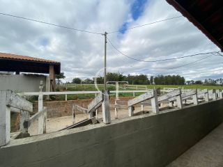 Sítio completo á Venda em Porto Feliz