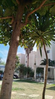 Oportunidade - Apartamento à Venda Condomínio Ilha Di Pascoa