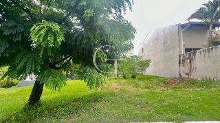 Terreno à Venda Condomínio Parque do Varvito Itu 260m² Fundo para Área Verde Interna