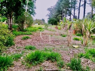 Terreno à Venda no Bairro Pinheirinho em Itu SP 5.349,50m²