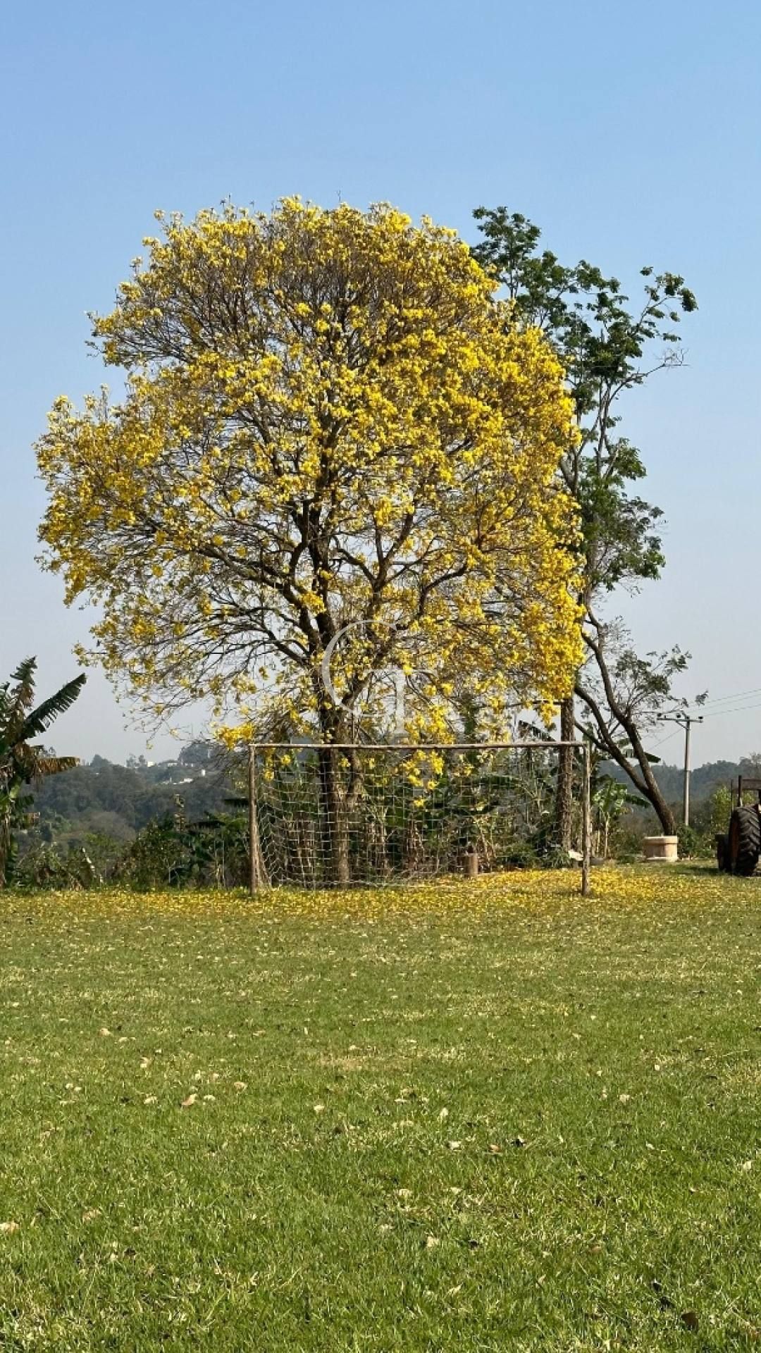 Sítio Para Vender com 04 quartos 01 suítes, com linda capela em Itu