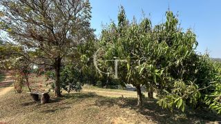 Sítio Para Vender com 04 quartos 01 suítes, com linda capela em Itu