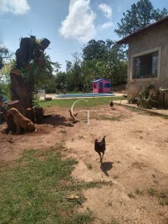 Sítio Para Vender com 04 quartos 01 suítes, com linda capela em Itu