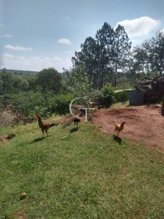 Sítio Para Vender com 04 quartos 01 suítes, com linda capela em Itu