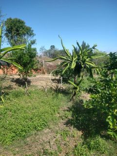 Sítio Para Vender com 04 quartos 01 suítes, com linda capela em Itu