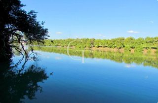 Casa à venda no Palmeiras Imperiais em Salto | 4 suítes, suíte térrea, lareira, gourmet completo e alto padrão