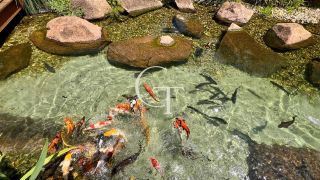 Excelente  apartamento 3 dormitórios sendo 1 suíte para locação no Natura Park Condominium Club