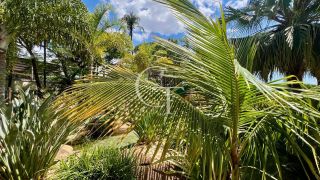 Apartamento à Venda no Condomínio Natura Park | 3 Dormitórios | Suíte | Andar Alto | Varanda Gourmet com Churrasqueira | Vista Livre