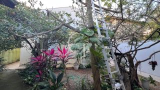 Casa para Alugar no Bairro Brasil em Itu | Casa Térrea com 3 Quartos, Suíte, Quintal e Churrasqueira