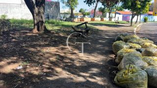 Apartamento para Venda Parque Ilha do Sol