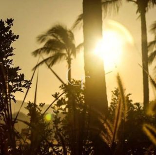 Casa térrea à venda no Campos de Santo Antônio II em Itu com 3 suítes, 320 m² e energia fotovoltaica