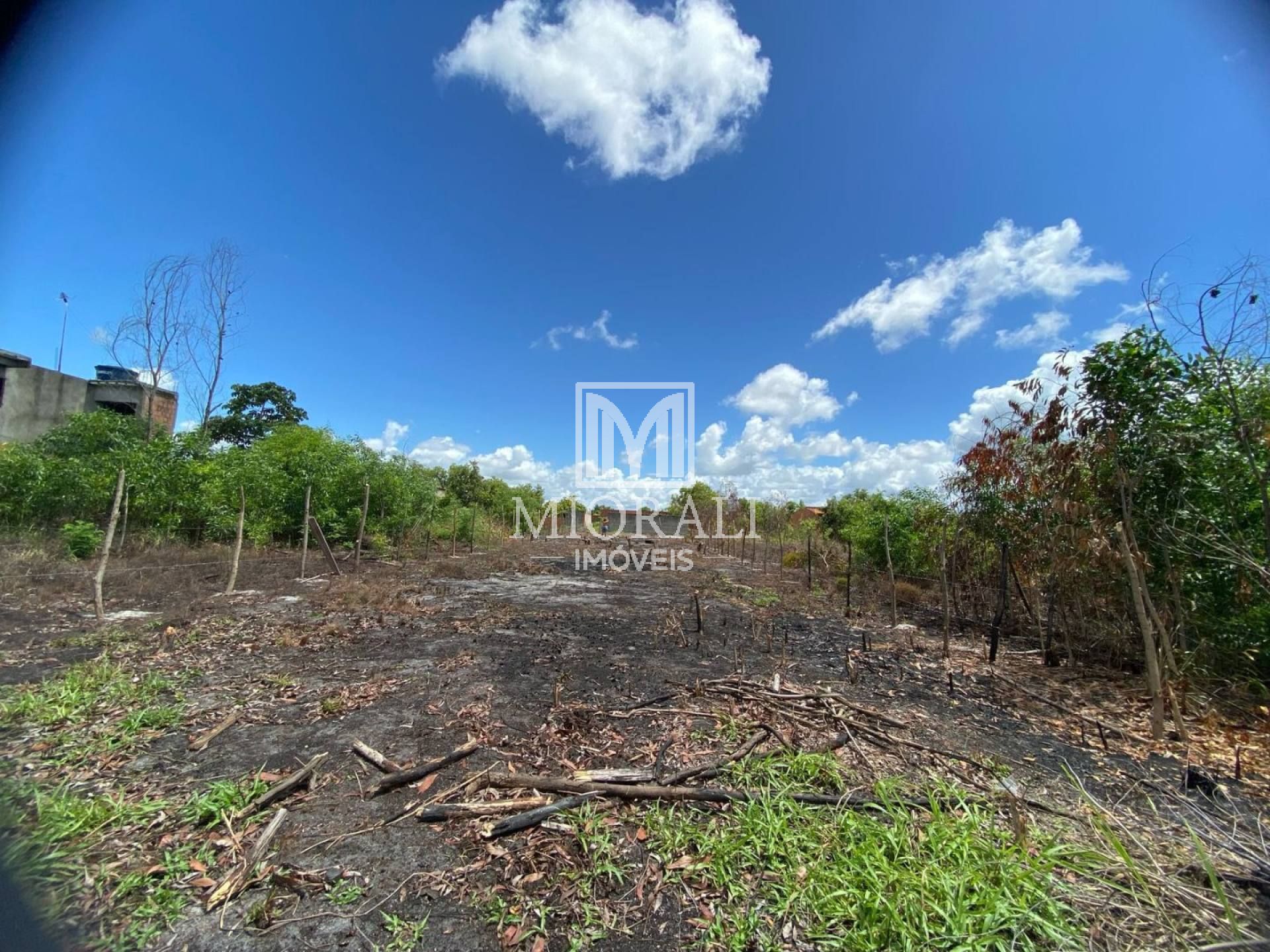 Terreno Amplo 750m² em Marechal – Loteamento Padre Cícero, Valor Negociável