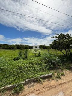 Terreno 10x30 na Barra de São Miguel – Financia e em Região que Mais Valoriza