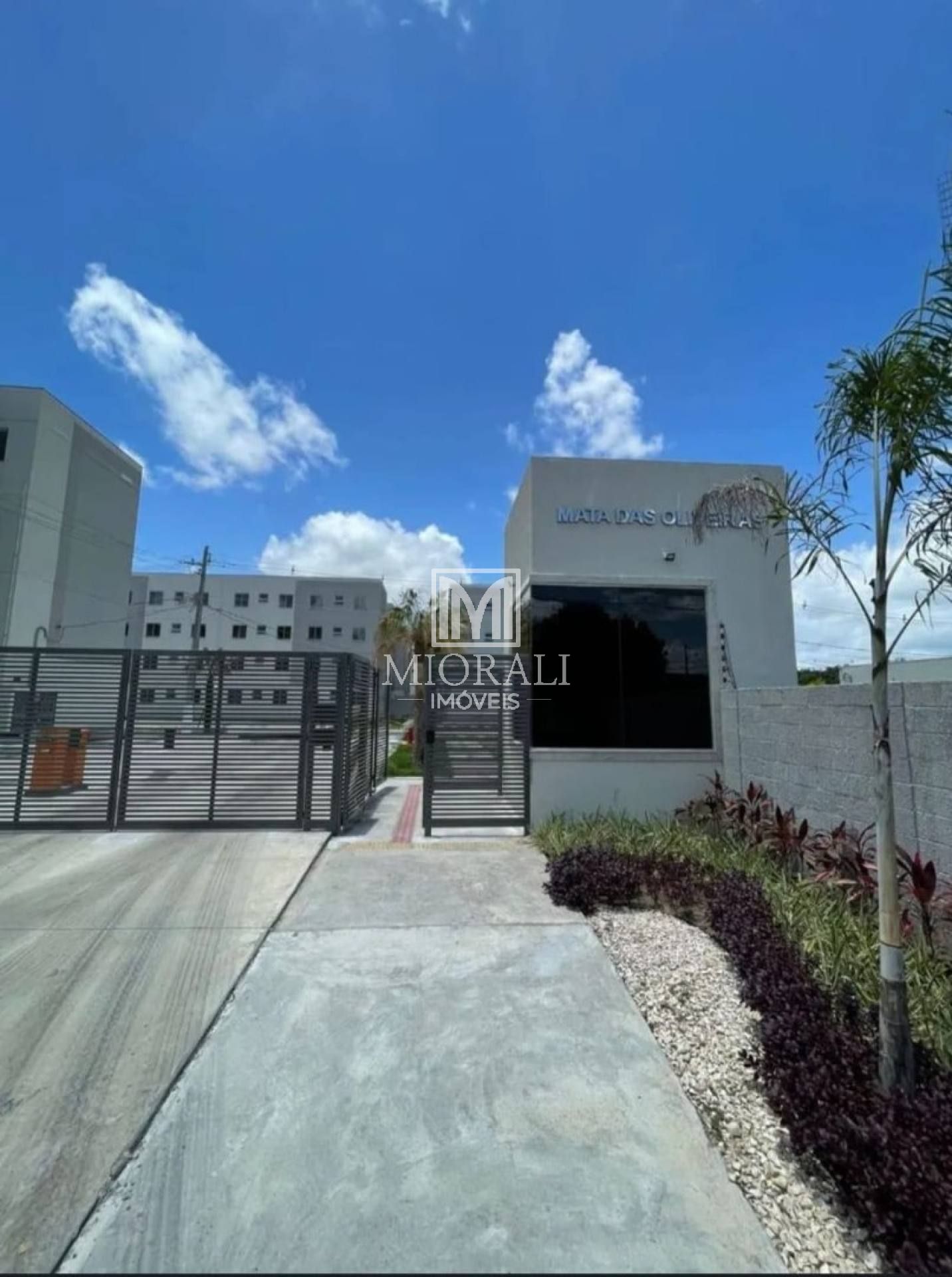 GF - Aluguel apartamento novo 2 quartos no Mata das Oliveiras, nunca habitado