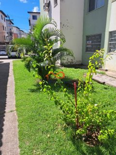 Apartamento Para Alugar com 3/4 em Condomínio Moriá