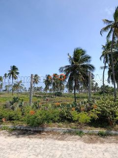 Lote à venda no Residencial Luar da Barra, na Barra dos Coqueiros