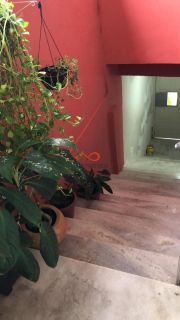 Casa à venda no São José