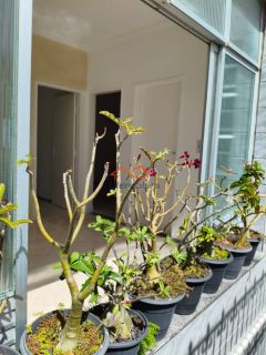 Salas Comerciais para Locação no Centro de Aracaju