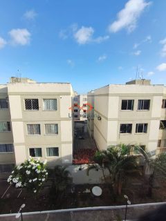 Apartamento à Venda no Condomínio Pinheiros Com 3 Dormitórios - Ponto Novo