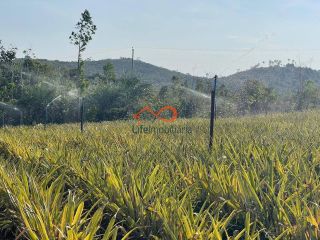 Rancho Ouro Verde à venda no Povoado Cardoso em Itaporanga d’Ajuda – SE