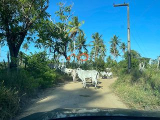 Rancho Ouro Verde à venda no Povoado Cardoso em Itaporanga d’Ajuda – SE