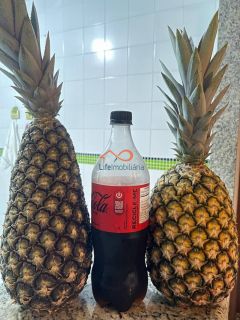 Rancho Ouro Verde à venda no Povoado Cardoso em Itaporanga d’Ajuda – SE