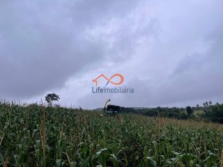 Rancho Ouro Verde à venda no Povoado Cardoso em Itaporanga d’Ajuda – SE