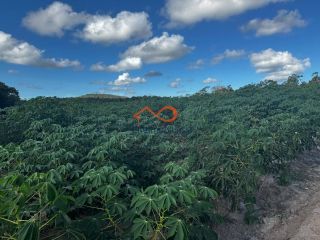 Rancho Ouro Verde à venda no Povoado Cardoso em Itaporanga d’Ajuda – SE