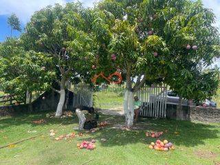 Rancho Ouro Verde à venda no Povoado Cardoso em Itaporanga d’Ajuda – SE